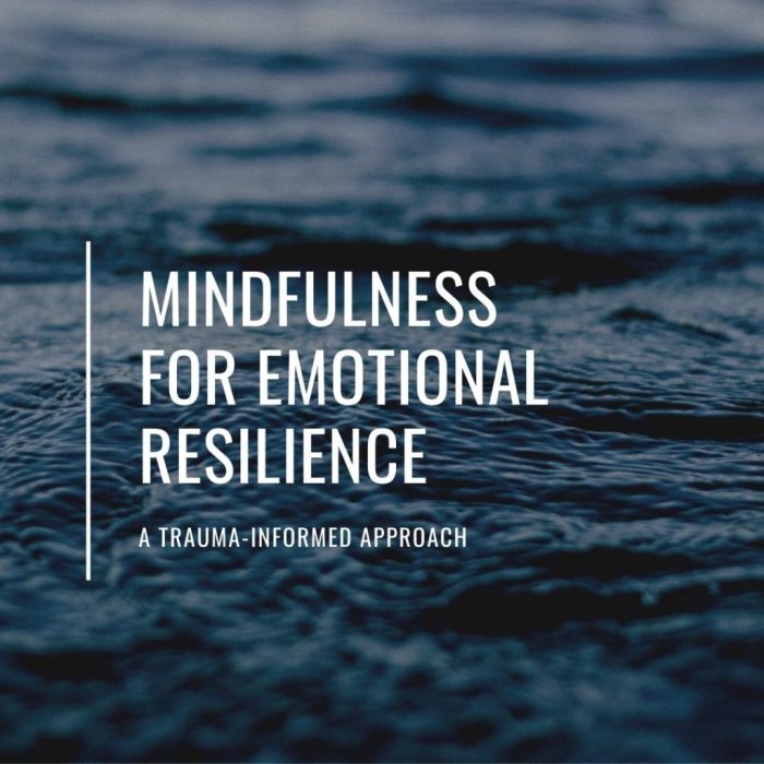 How to Meditate for Strengthening Your Focus and Emotional Resilience